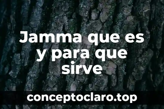 Que es y para que sirve el croquis 3 Jamma que es y para que sirve