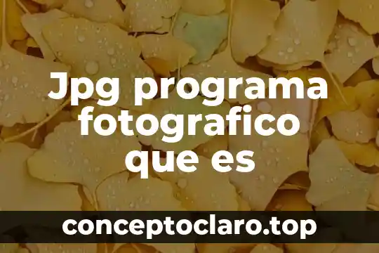Jpg programa fotografico que es
