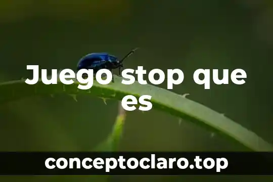 Que es el juego del tochito bandera 5 Juego stop que es