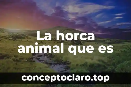 Qué es un animal pecane 3 La horca animal que es