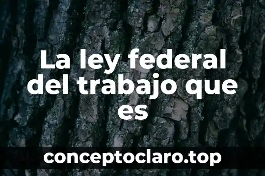 Registro Federal de Contribuyentes que es IJ 3 La ley federal del trabajo que es