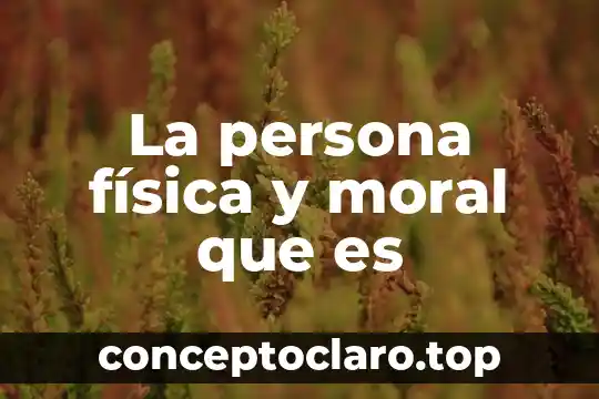 La persona física y moral que es