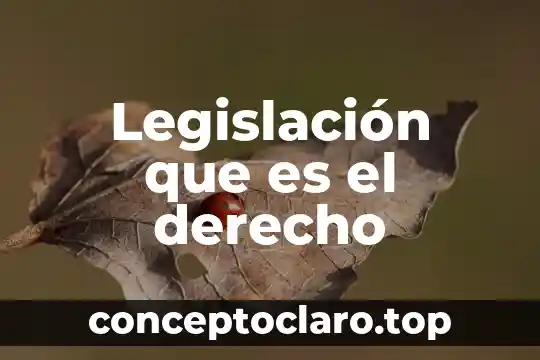 Qué es el intermediario en derecho laboral 5 Legislación que es el derecho
