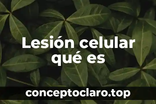 Que es un potencial de membrana celular 3 Lesión celular qué es