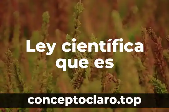 Que es una ley autoaplicativa 5 Ley científica que es