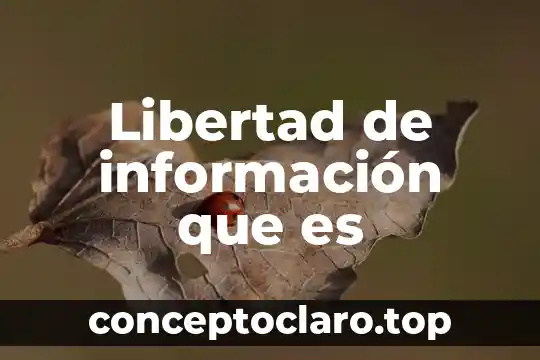Libertad de información que es