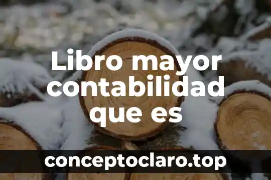 Libro mayor contabilidad que es