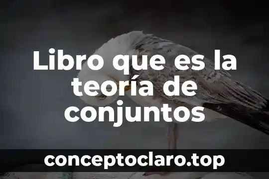 Libro que es la teoría de conjuntos