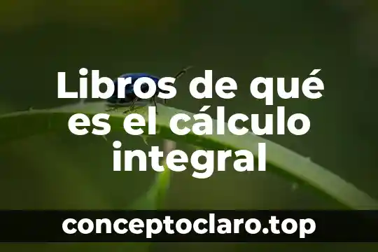 Libros de qué es el cálculo integral