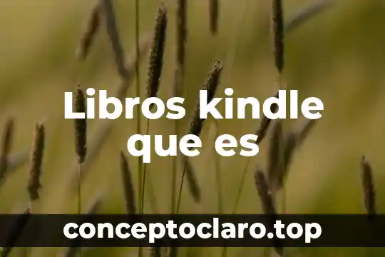 Libros kindle que es