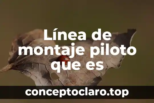 Que es una planta piloto para poliestireno expandido 3 Línea de montaje piloto que es