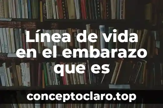 Línea de vida en el embarazo que es