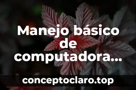 Suayed psicología que es la seriación 5 Manejo básico de computadora que es