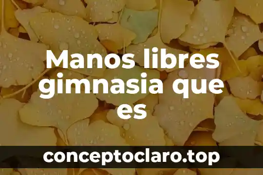 Explicar a los niños que es un laberinto 4 Manos libres gimnasia que es
