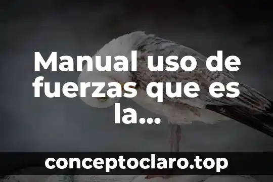 Que es el uso de preterito para señalar acciones pasadas 7 Manual uso de fuerzas que es la excepcionalidad