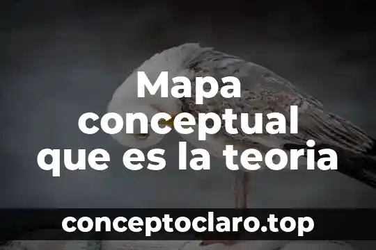 Que es teoría segun clara romero 4 Mapa conceptual que es la teoria