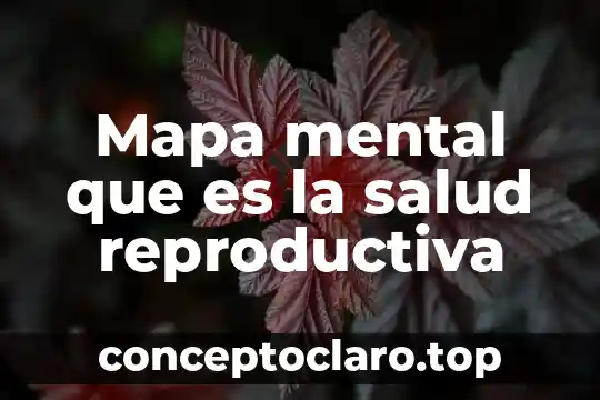 Mapa mental que es la salud reproductiva