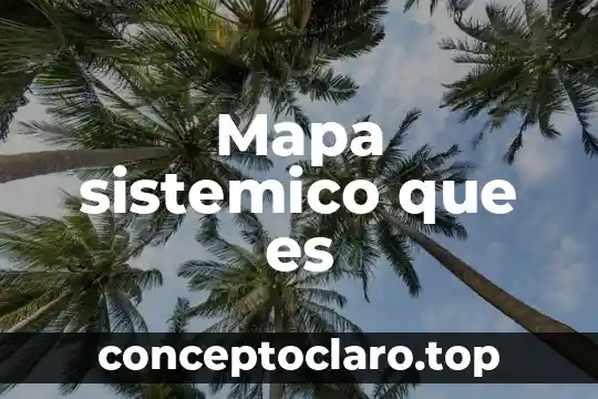 Mapa sistemico que es