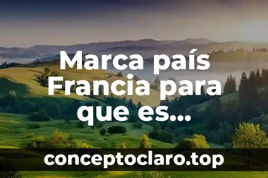 Que es un pais subdesarrollado y desarrollado 5 Marca país Francia para que es utilizado