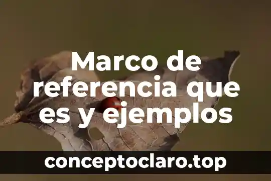 Marco de referencia que es y ejemplos