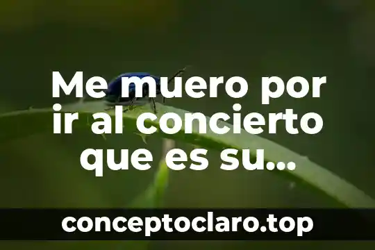 Me muero por ir al concierto que es su concepto