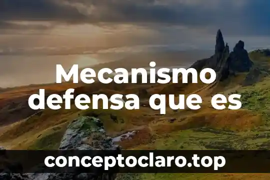 Mecanismo defensa que es
