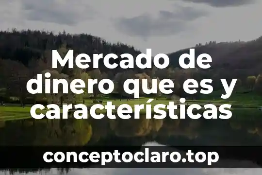 Que es el crédito de dinero artículo 4 Mercado de dinero que es y características