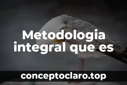 Metodologia integral que es