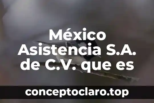 Que es el asistencia social 7 México Asistencia S.A. de C.V. que es