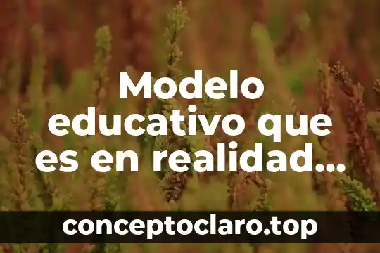 Modelo educativo que es en realidad en mexico nuevo