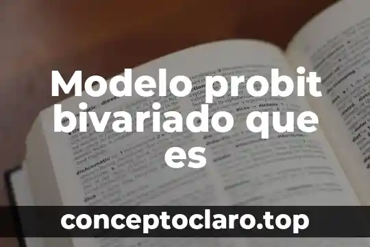 Qué es el modelo de industrialización por sustitución de importaciones 5 Modelo probit bivariado que es