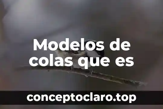 Qué es un modelos geográficos 3 Modelos de colas que es