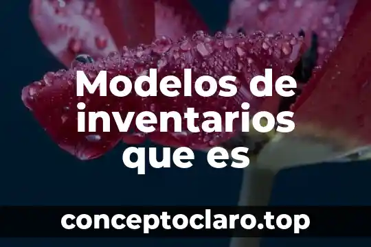 Sistema de acomulación de costos que es sistema de inventarios 4 Modelos de inventarios que es
