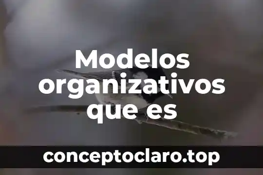 Modelos organizativos que es