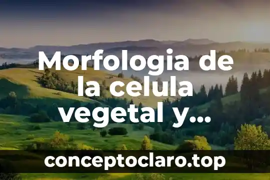 Morfologia de la celula vegetal y animal que es