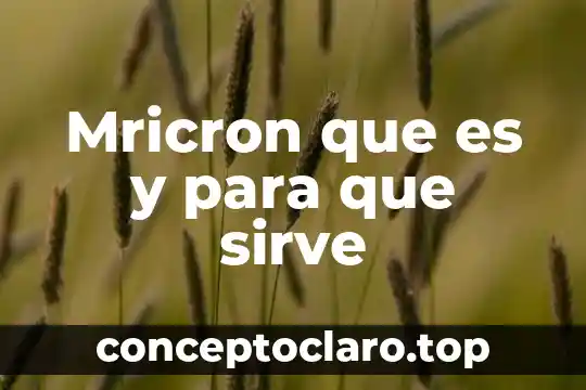 Mricron que es y para que sirve