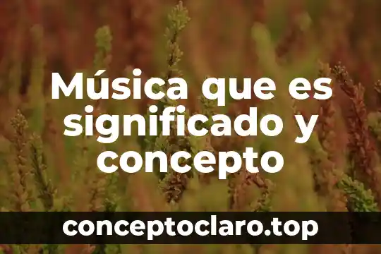 Música que es significado y concepto