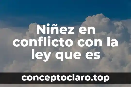Que significa que es el arte 8 Niñez en conflicto con la ley que es