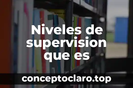 Niveles de supervision que es