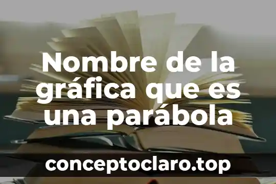 Que es abstraccion en expresion grafica 5 Nombre de la gráfica que es una parábola