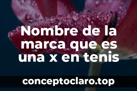 Que es el tenis de campo 4 Nombre de la marca que es una x en tenis