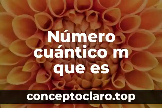 Qué es el número de patente en importaciones 8 Número cuántico m que es