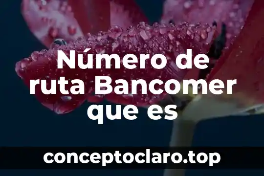 Número de ruta Bancomer que es