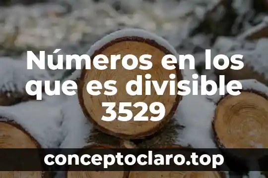Que es trayecto formativo 3 Números en los que es divisible 3529
