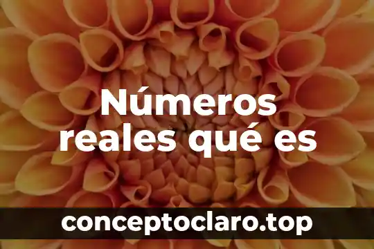 Que es identificar los números 3 Números reales qué es