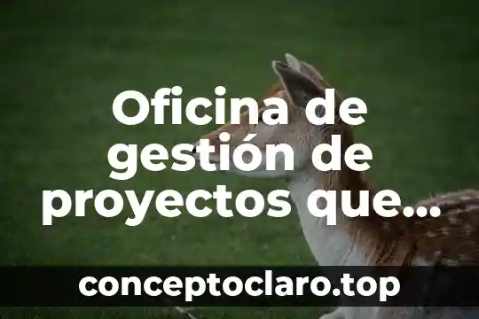 Oficina de gestión de proyectos que es