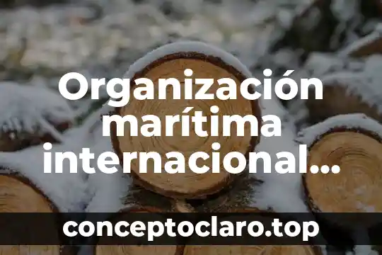 Qué es una ruta marítima definición 3 Organización marítima internacional que es