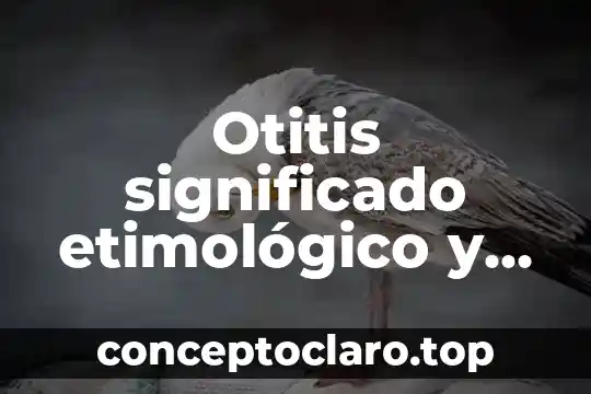 Qué es masivamente significado 4 Otitis significado etimológico y que es