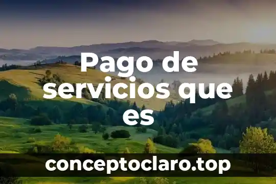 Pago de servicios que es