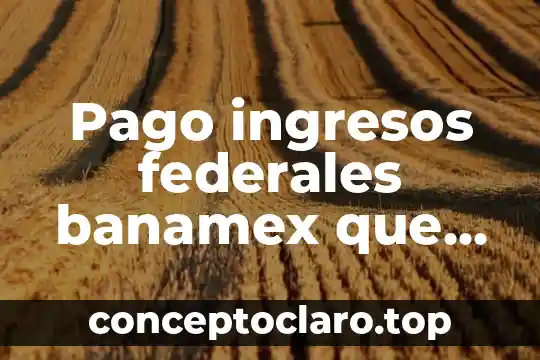 Pago ingresos federales banamex que es